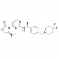 anti-HYAL1 antibody (Hyaluronidase-1) (N-Term)