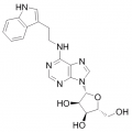 anti-HYAL1 antibody (Hyaluronidase-1) (N-Term)