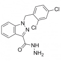 anti-HYAL1 antibody (Hyaluronidase-1) (N-Term)