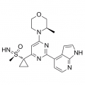 anti-HYAL1 antibody (Hyaluronidase-1) (N-Term)