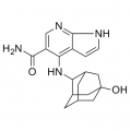 anti-HYAL1 antibody (Hyaluronidase-1) (N-Term)