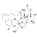 anti-HYAL1 antibody (Hyaluronidase-1) (N-Term)