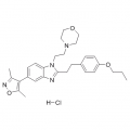 anti-HYAL1 antibody (Hyaluronidase-1) (N-Term)