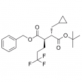 anti-HYAL1 antibody (Hyaluronidase-1) (N-Term)