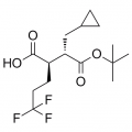 anti-HYAL1 antibody (Hyaluronidase-1) (N-Term)