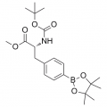 anti-HYAL1 antibody (Hyaluronidase-1) (N-Term)