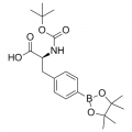 anti-HYAL1 antibody (Hyaluronidase-1) (N-Term)
