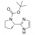 anti-HYAL1 antibody (Hyaluronidase-1) (N-Term)