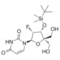 anti-HYAL1 antibody (Hyaluronidase-1) (N-Term)