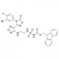 anti-HYAL1 antibody (Hyaluronidase-1) (N-Term)