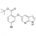 anti-HYAL1 antibody (Hyaluronidase-1) (N-Term)