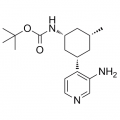 anti-HYAL1 antibody (Hyaluronidase-1) (N-Term)
