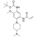 anti-HYAL1 antibody (Hyaluronidase-1) (N-Term)