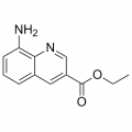 anti-HYAL1 antibody (Hyaluronidase-1) (N-Term)