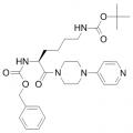 anti-HYAL1 antibody (Hyaluronidase-1) (N-Term)