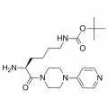 anti-HYAL1 antibody (Hyaluronidase-1) (N-Term)
