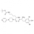 anti-HYAL1 antibody (Hyaluronidase-1) (N-Term)