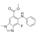 anti-HYAL1 antibody (Hyaluronidase-1) (N-Term)