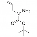 anti-HYAL1 antibody (Hyaluronidase-1) (N-Term)