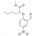 anti-HYAL1 antibody (Hyaluronidase-1) (N-Term)