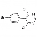 anti-HYAL1 antibody (Hyaluronidase-1) (N-Term)