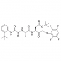 anti-HYAL1 antibody (Hyaluronidase-1) (N-Term)