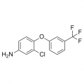 anti-HYAL1 antibody (Hyaluronidase-1) (N-Term)