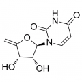 anti-HYAL1 antibody (Hyaluronidase-1) (N-Term)