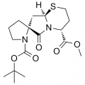 anti-HYAL1 antibody (Hyaluronidase-1) (N-Term)