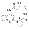 anti-HYAL1 antibody (Hyaluronidase-1) (N-Term)