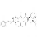 anti-HYAL1 antibody (Hyaluronidase-1) (N-Term)