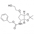 anti-HYAL1 antibody (Hyaluronidase-1) (N-Term)