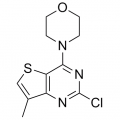 anti-HYAL1 antibody (Hyaluronidase-1) (N-Term)