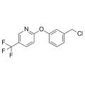 anti-HYAL1 antibody (Hyaluronidase-1) (N-Term)
