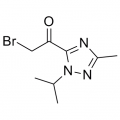 anti-HYAL1 antibody (Hyaluronidase-1) (N-Term)