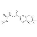 anti-HYAL1 antibody (Hyaluronidase-1) (N-Term)