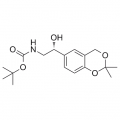 anti-HYAL1 antibody (Hyaluronidase-1) (N-Term)