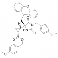 anti-HYAL1 antibody (Hyaluronidase-1) (N-Term)