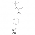anti-HYAL1 antibody (Hyaluronidase-1) (N-Term)