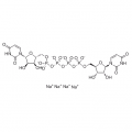 anti-HYAL1 antibody (Hyaluronidase-1) (N-Term)