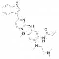 anti-HYAL1 antibody (Hyaluronidase-1) (N-Term)