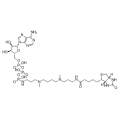 anti-HYAL1 antibody (Hyaluronidase-1) (N-Term)