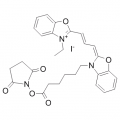 anti-HYAL1 antibody (Hyaluronidase-1) (N-Term)