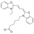 anti-HYAL1 antibody (Hyaluronidase-1) (N-Term)