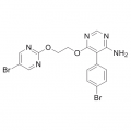 anti-HYAL1 antibody (Hyaluronidase-1) (N-Term)