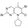 anti-HYAL1 antibody (Hyaluronidase-1) (N-Term)