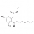 anti-HYAL1 antibody (Hyaluronidase-1) (N-Term)
