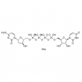 anti-HYAL1 antibody (Hyaluronidase-1) (N-Term)