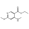anti-HYAL1 antibody (Hyaluronidase-1) (N-Term)
