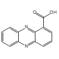 anti-HYAL1 antibody (Hyaluronidase-1) (N-Term)